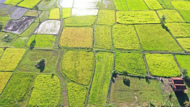 Tetra Tech supports Water Farmer User Communities in central Cambodia to maintain irrigation canals