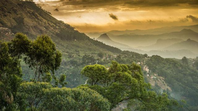 View of the Western Ghats, a forested mountain chain